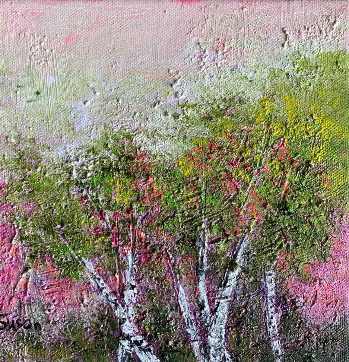 Birke rosa II