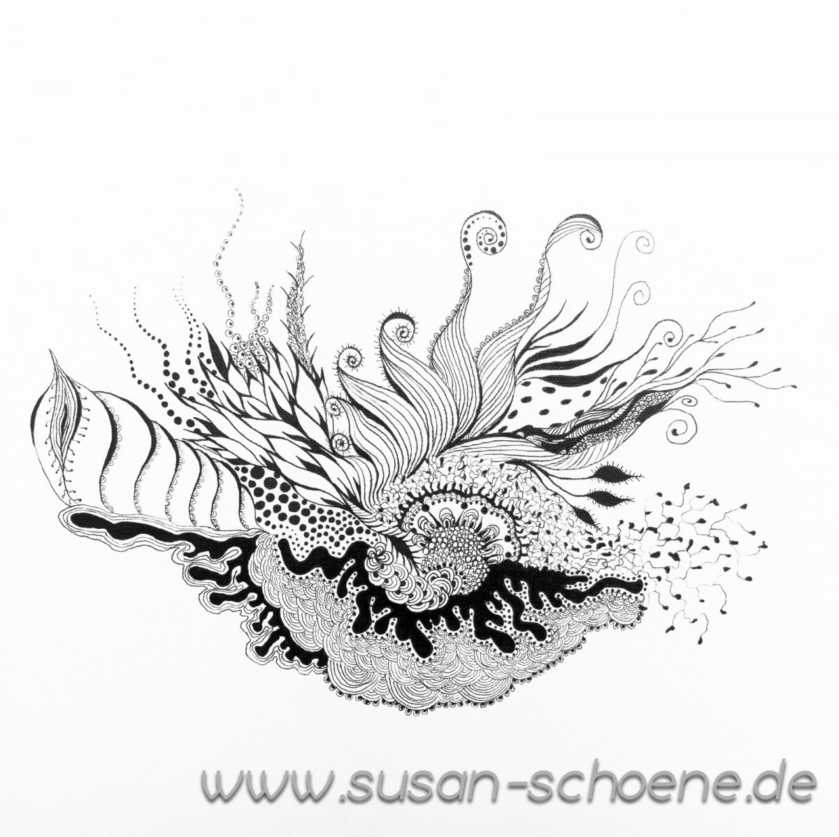Muschel