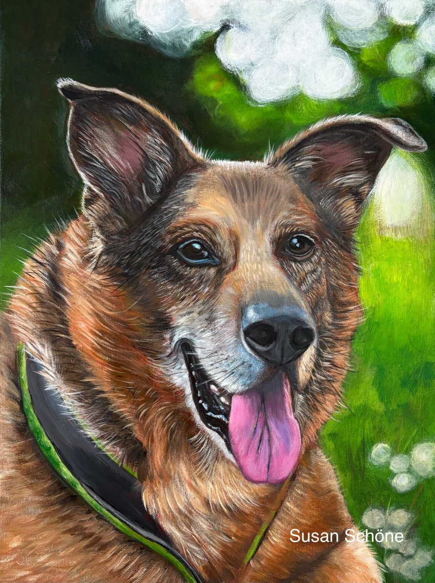 Schäferhund