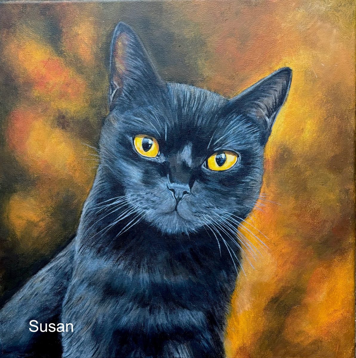 Katze