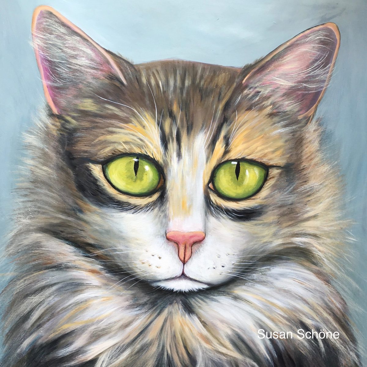 Katze
