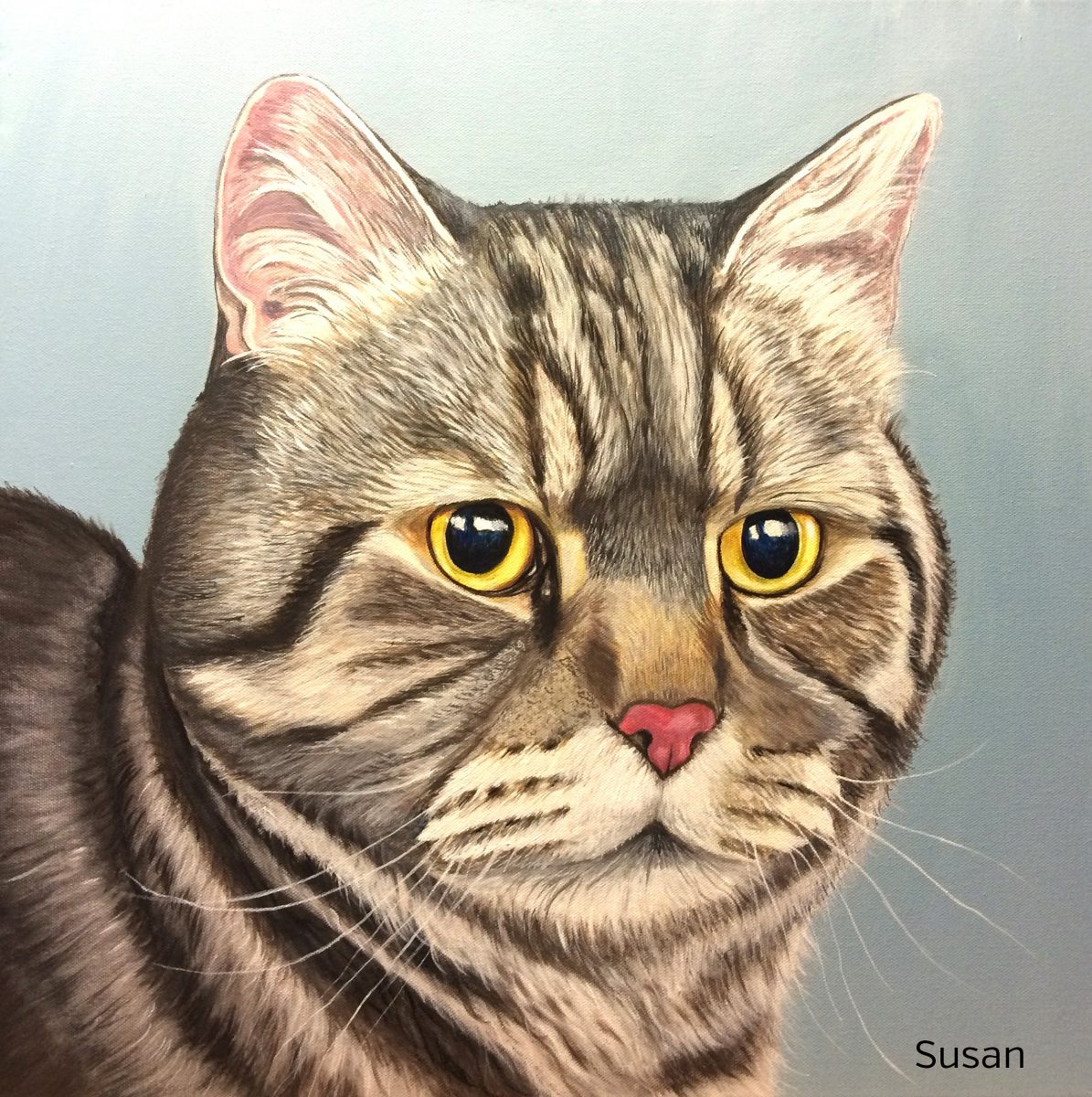 Kater