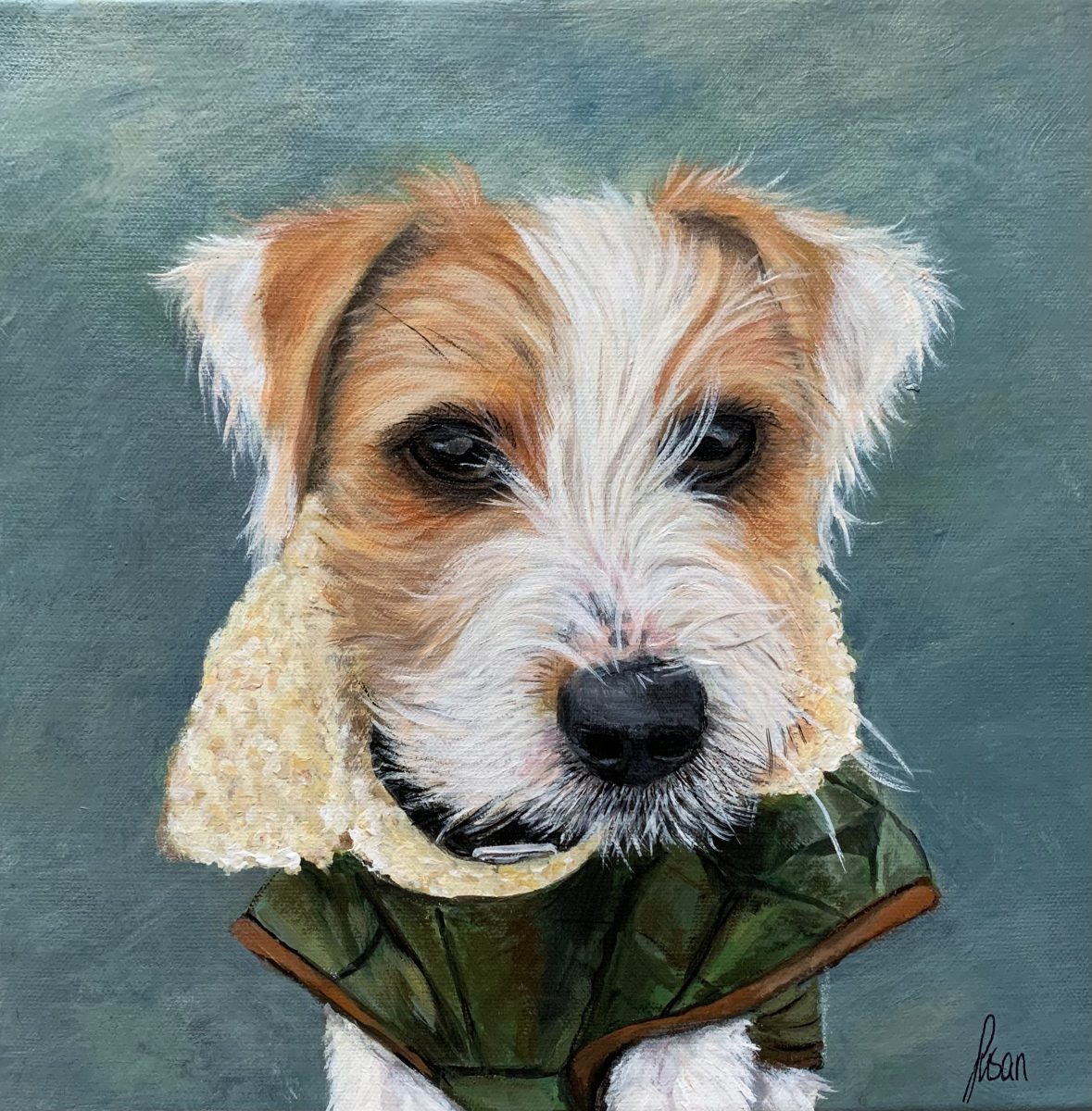 Jack Russell Terrier