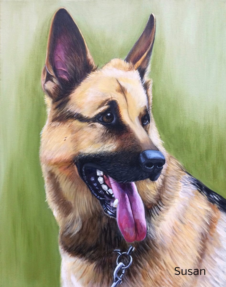 Schäferhund