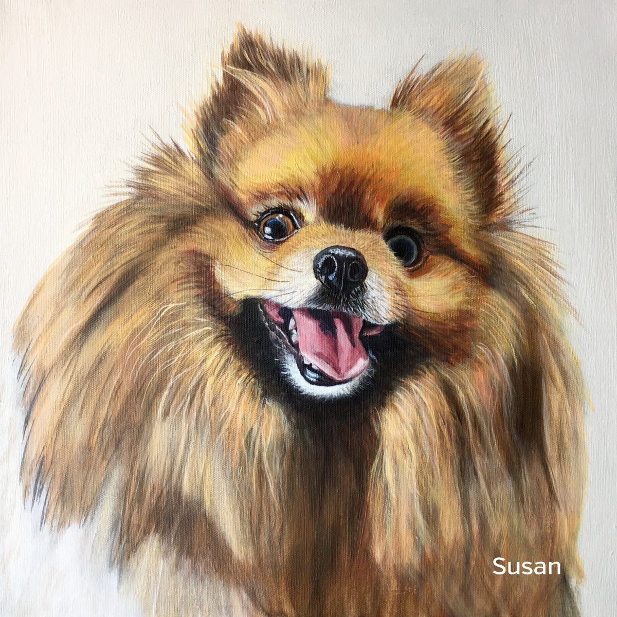 Spitz
