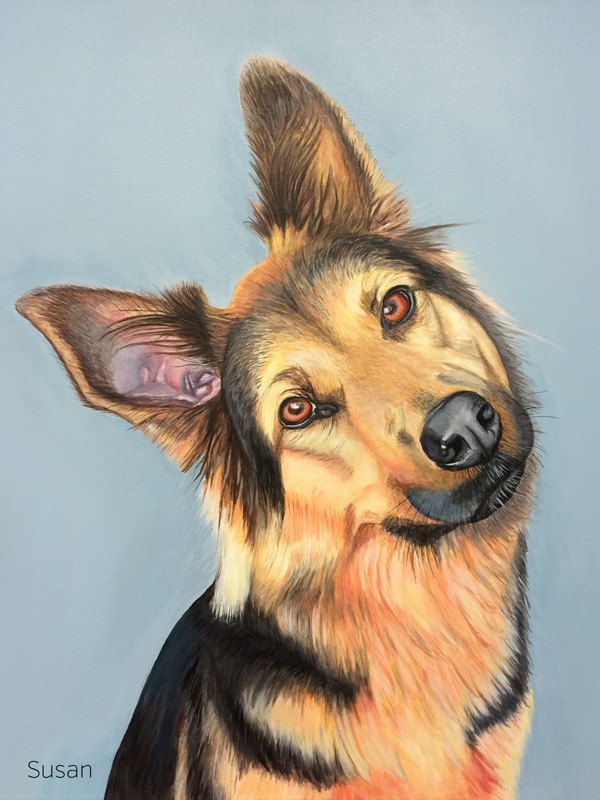Schäferhundmix