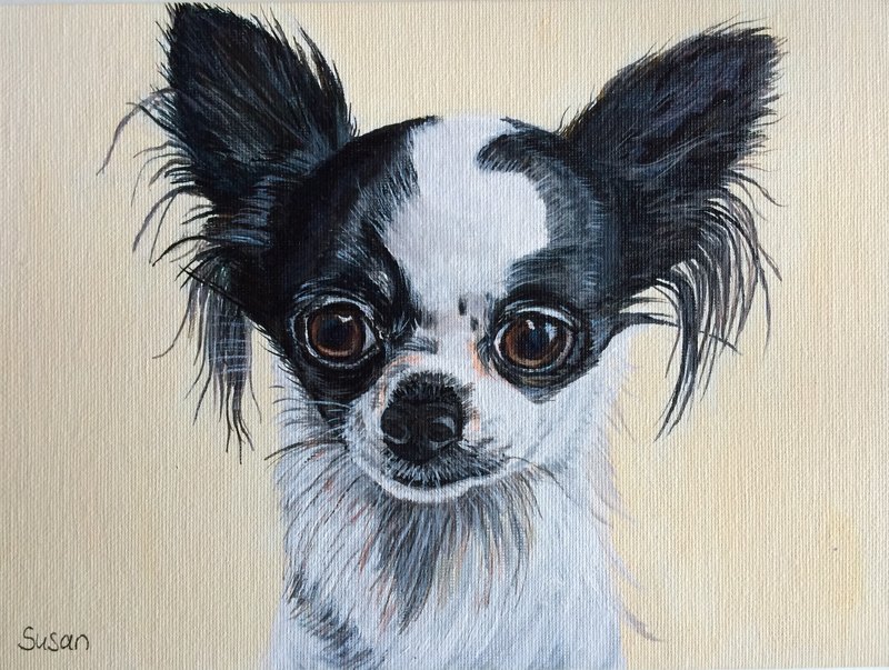 Chihuahua