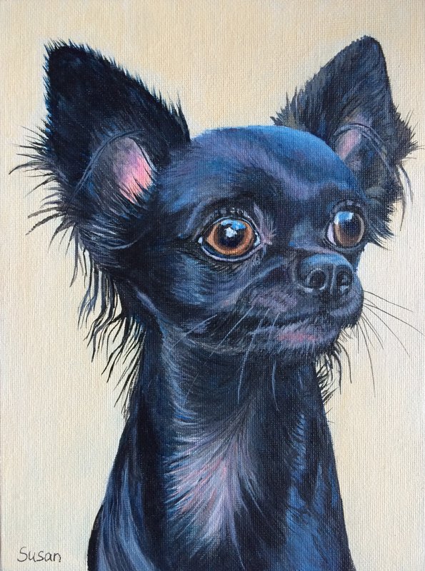 Chihuahua
