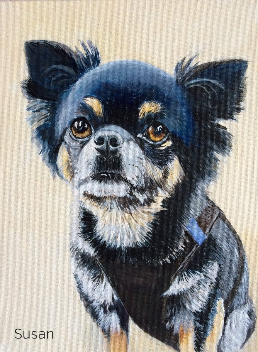 Chihuahua