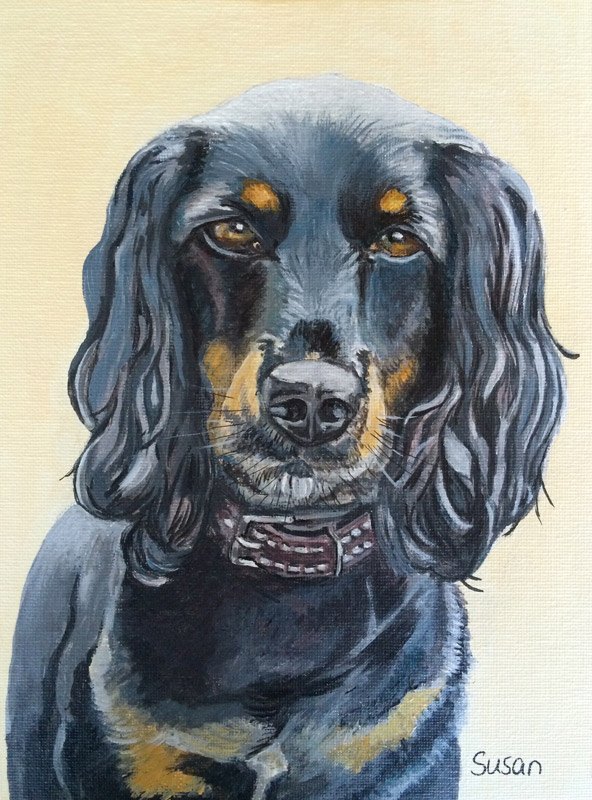 Cocker Spaniel