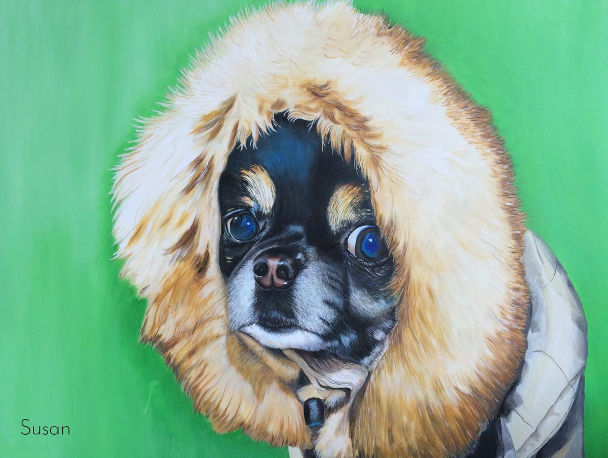 Chihuahua