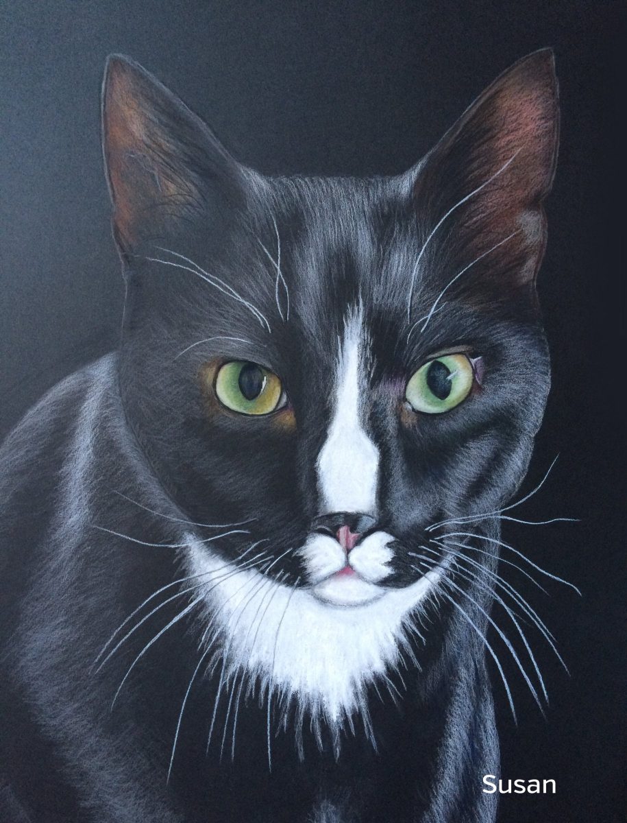 Hauskater