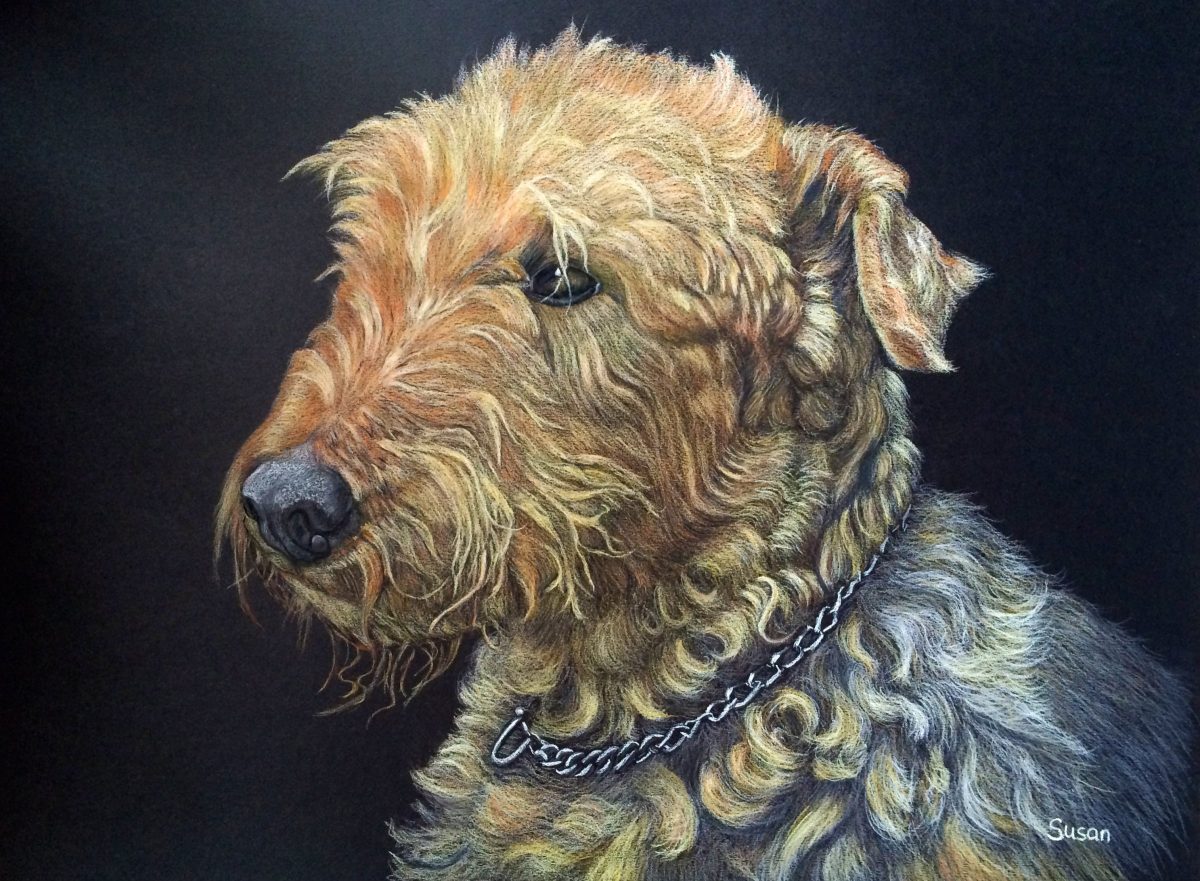 Airedale Terrier