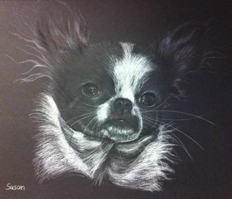 Chihuahua