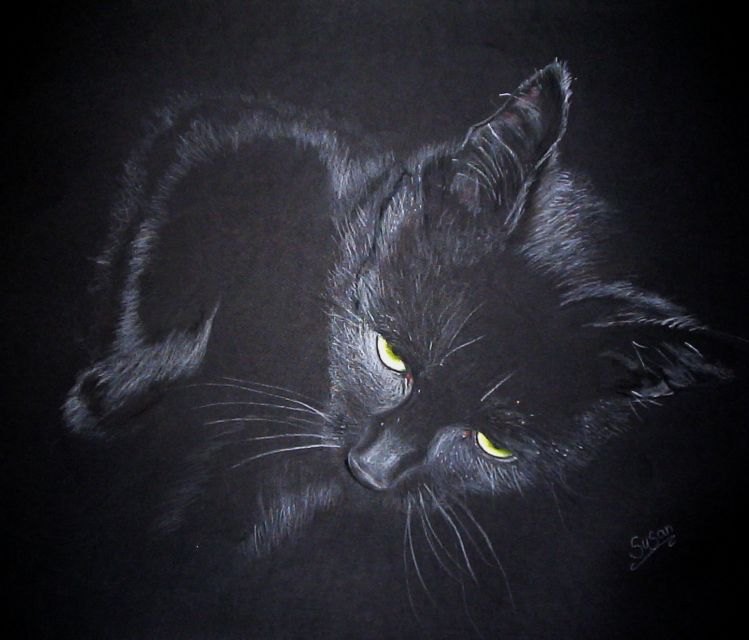 Hauskatze