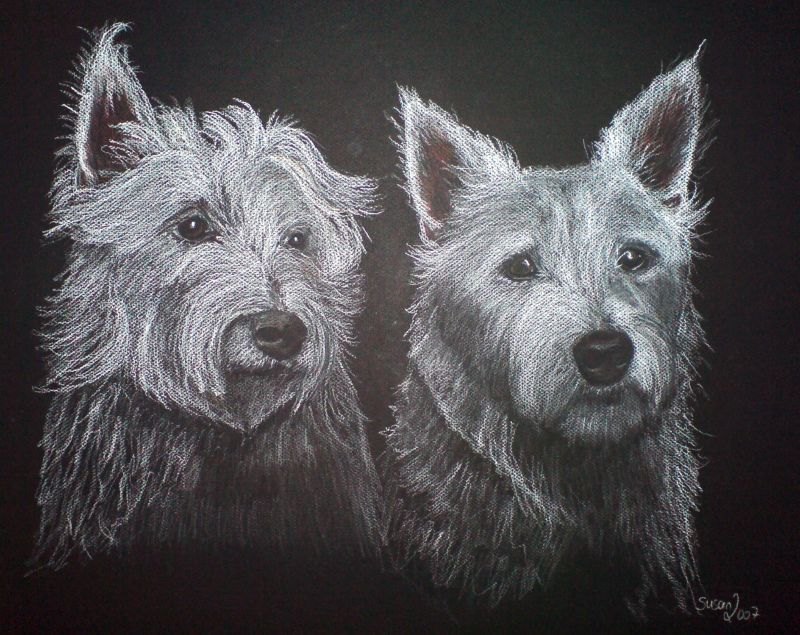 Westhighlandterrier