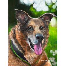 Schäferhund