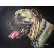 Boerboel