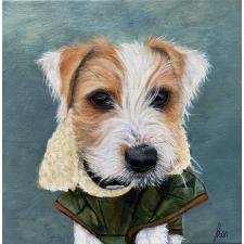 Jack Russell Terrier