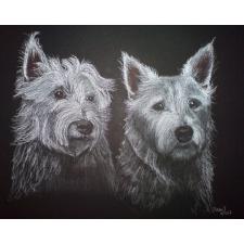 Westhighlandterrier