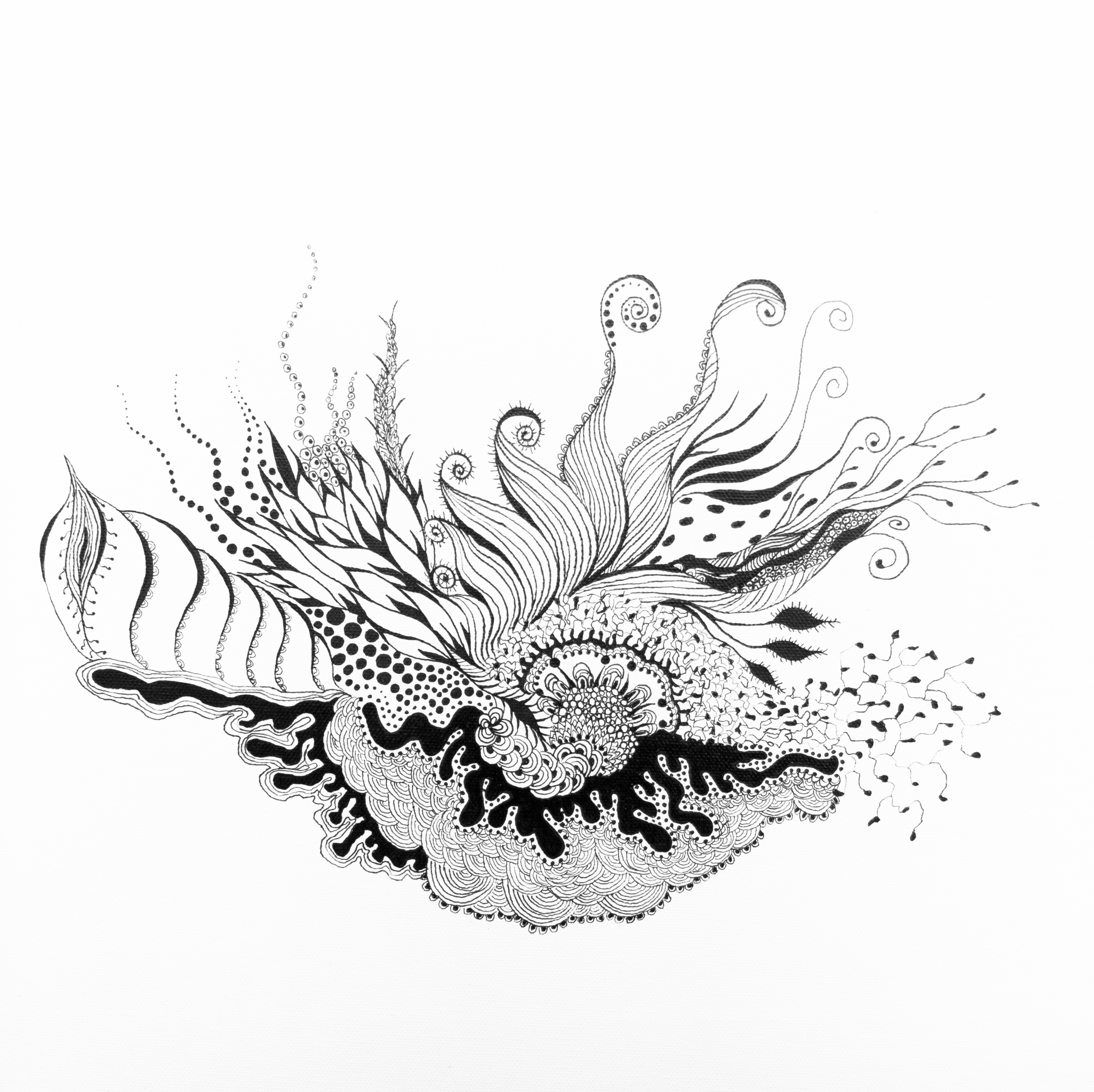 Muschel - Zentangle