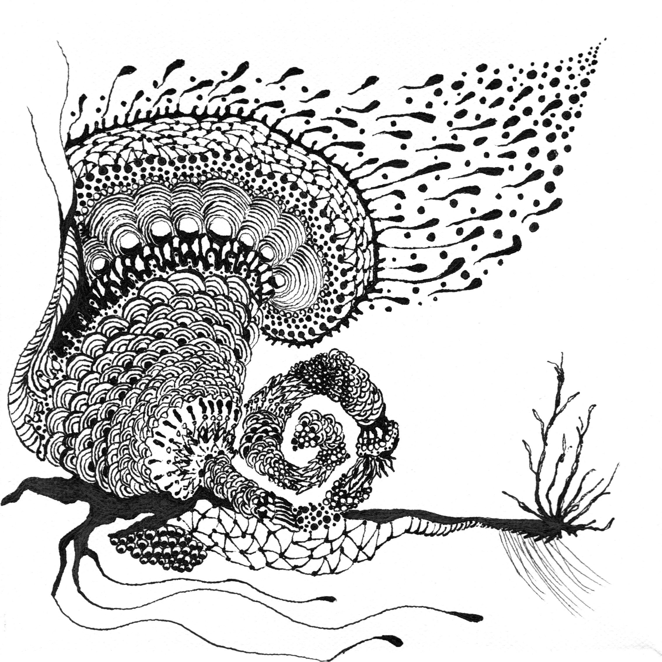 Zentangle 