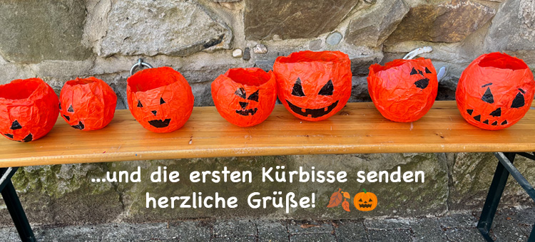 Kürbisse Halloween