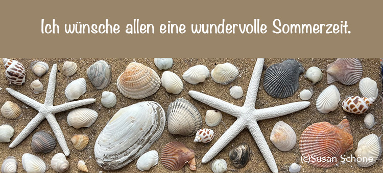 Beginn der Malkurse 2025